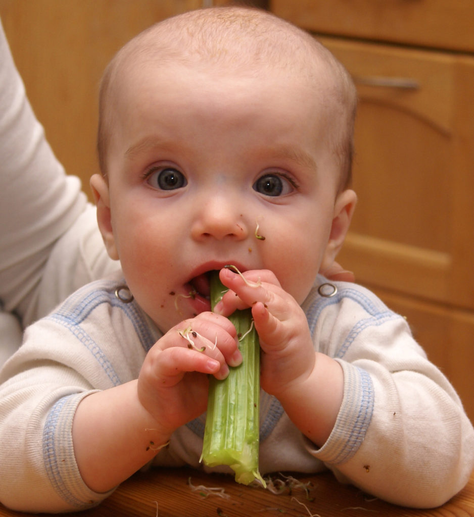 7 hónapos baba önállóan eszik